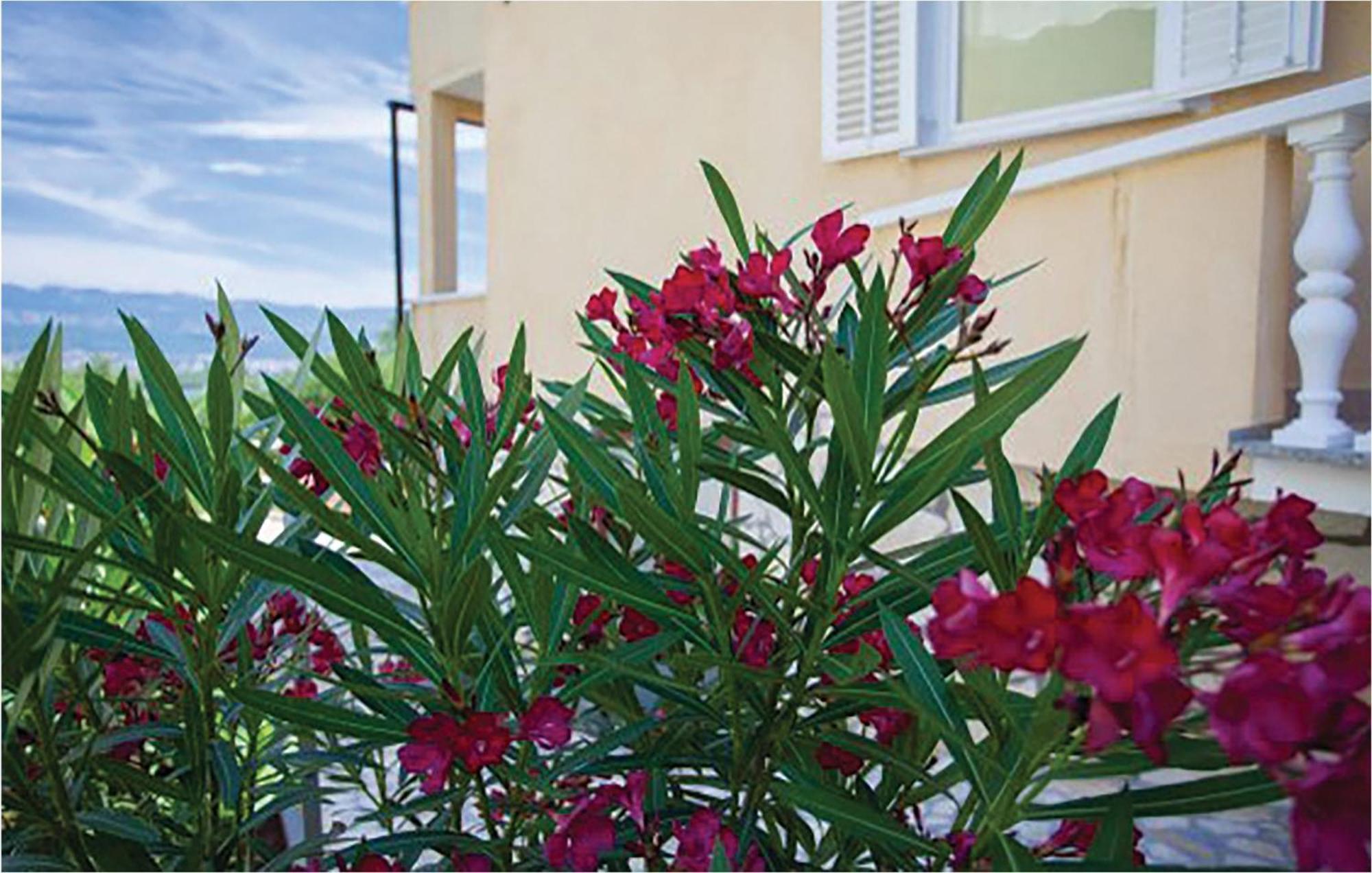 1 Bedroom Beautiful Apartment In Malinska Exterior foto